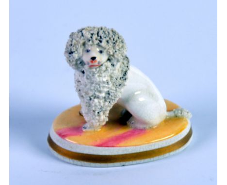 PROBABLY CHAMBERLAIN’S WORCESTER PORCELAIN MODEL OF A SEATED CLIPPED POODLE, on an oval pink and yellow base, lined in gilt, 