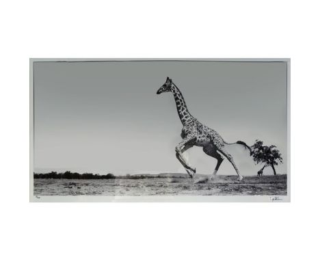ANUP SHAH (1949)  ARTIST SIGNED BLACK AND WHITE PHOTOGRAPHIC PRINT ‘Dance’ (49/150) with certificate  15” X 29” (38cm x 73.7c