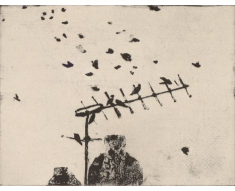 Prunella Clough,&nbsp;British 1919-1999,&nbsp;Starlings, from the Birds portfolio, 1993;&nbsp;sugar-lift etching on wove,&nbs