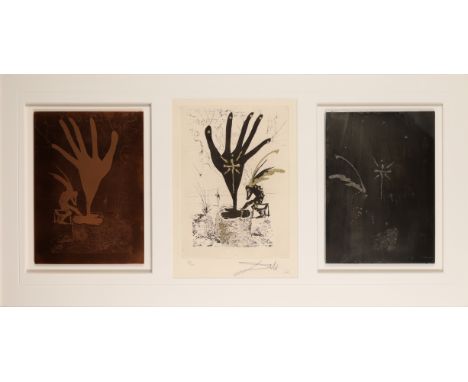 Salvador Dalí, Spanish 1904-1989, Fleur d'art [Field 74-15], 1974;dry point etching on Arches wove with hand colouring and gi