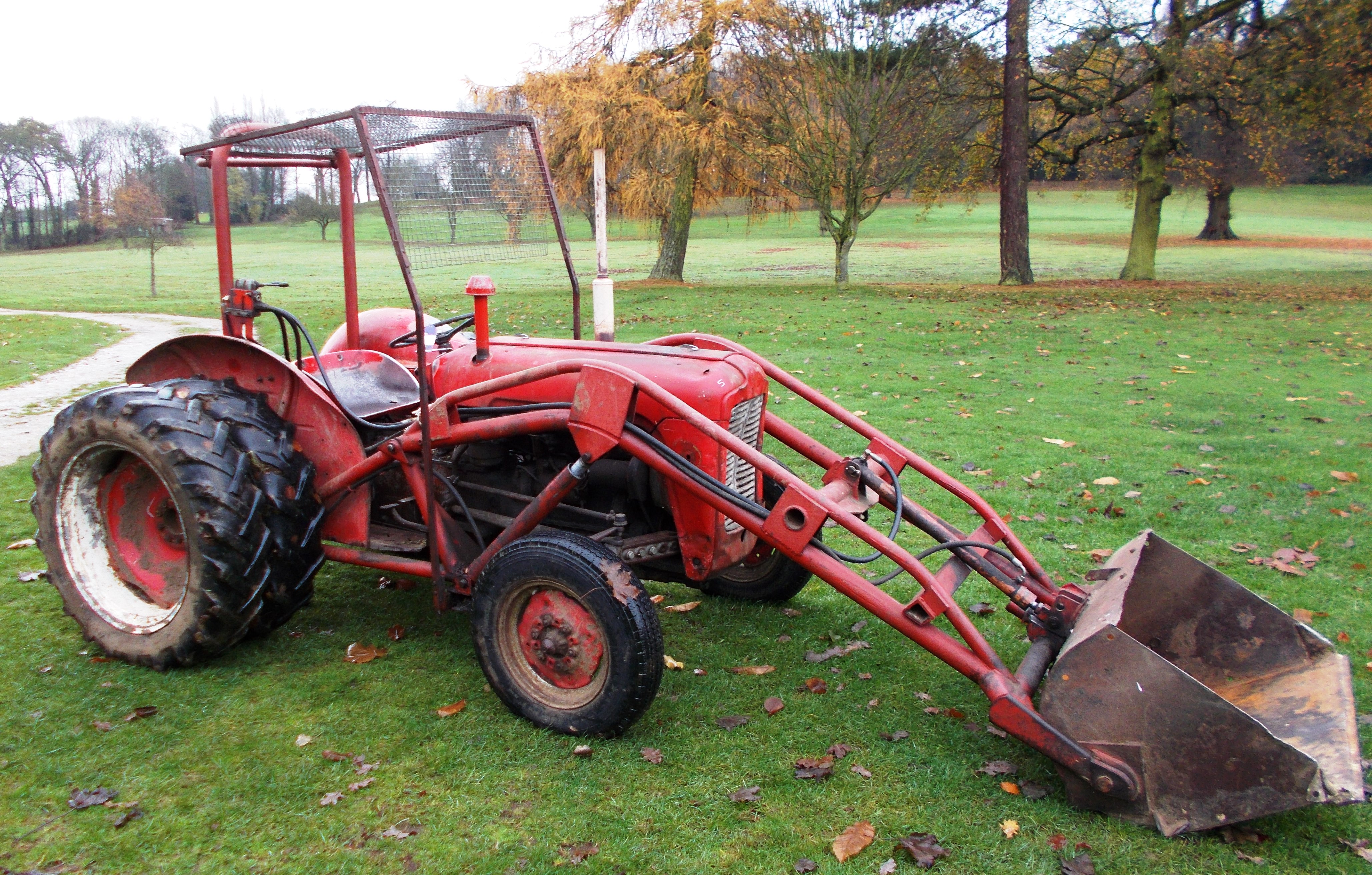 Massey Ferguson MF35 Tractor with loading bucket, estimated year 1960