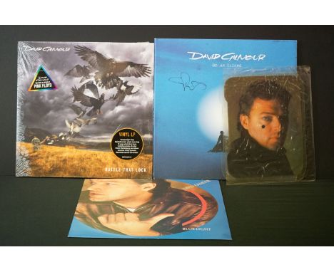 Vinyl &amp; Autograph - David Gilmour 2 LP's, 1 12" and one shaped picture disc to include On An Island signed to front by Gu