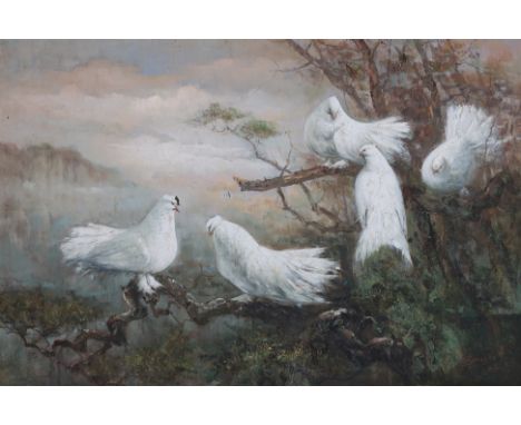 UNATTRIBUTED (20TH-21ST CENTURY) - DOVES
Oil on canvas, indistinctly signed 'Jingong'(?) lower right, dated 2003
62 x 91cm
Co