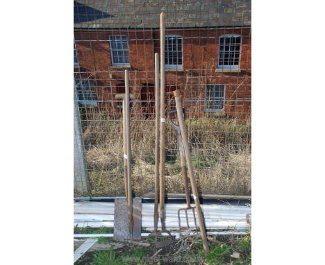 A selection of garden tools, hoes, fork, rake etc.