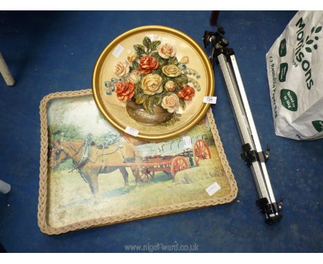 Camera tripod, ceramic plaque and tray.