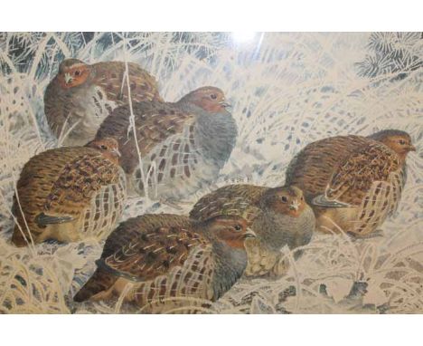 CHARLES TUNNIECLIFFE,
GREY PARTRIDGE IN WINTER
limited edition colour lithograph, stamped and numbered 116/750
image 39cm x 4