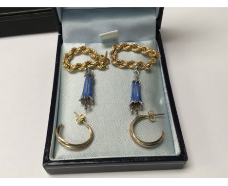 A pair of silver and enamel Royal Horticultural society earrings, a pair of 9carat gold rope earrings and one other pair of e