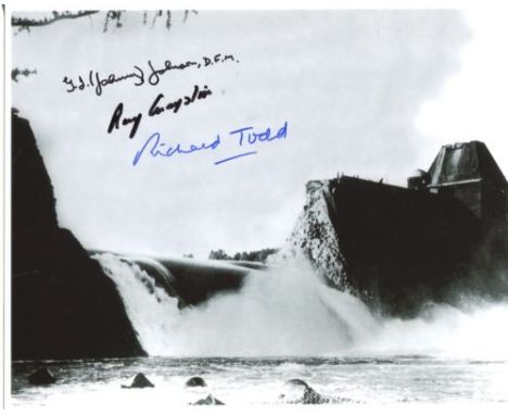 DAMBUSTERS MULTI-SIGNED: 8x10 inch photo signed by actor and war hero the late Richard Todd who took part in the operation to