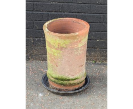Terracotta planter