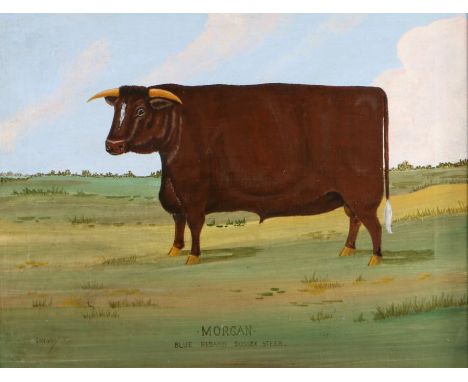 Conway, 19th/20th Century Welsh school, Morgan, Blue Riband Sussex Steer, rosewood frame, 45cm x 35cm   Purchased Blackbrook 