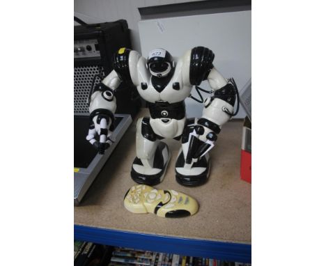 A remote control robot 