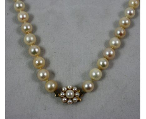 A uniform cultured pearl necklace, composed of 132 beads of approximately 7 mm diameter to a 9ct gold and pearl cluster clasp