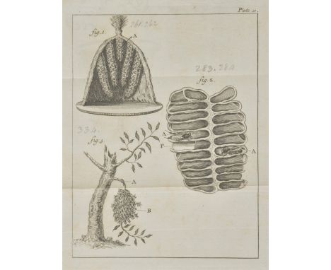 [Bazin, Gilles Augustin]. The Natural History of Bees. Containing an Account of their Production, their Oeconomy, the manner 