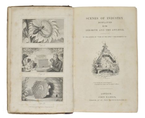 [Johnstone, Christian Isobel]. Scenes of Industry displayed in the Bee-Hive and the Ant-Hill. By the author of "Wars of the J