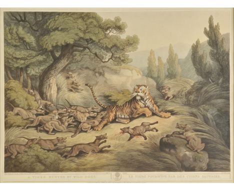 *Orme (Edward, publisher). A Tiger hunted by wild dogs, Exhibition of a battle between a buffalo & a tiger, Shooting at the e