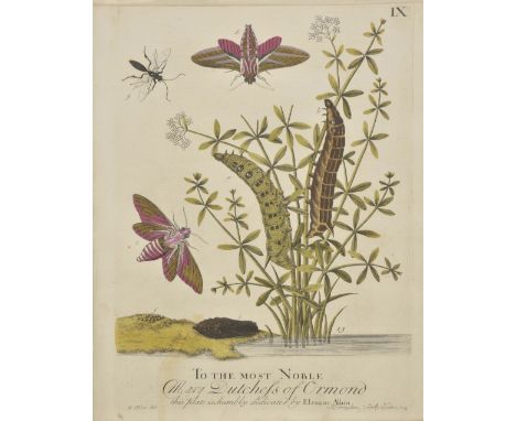 Albin (Eleazar). A Natural History of English Insects. Illustrated with a Hundred Copper Plates, Curiously Engraven from the 