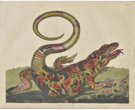 Smellie (William, editor). A Natural History, General and Particular; containing the history and theory of the earth..., tran