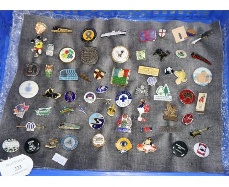 Collection of vintage enamel and other badges, to include: Blue Cross, Trains, Ship, Manx Cat, Teagardens etc.  (B.P. 21% + V