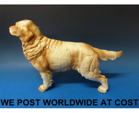 Goebel golden retriever