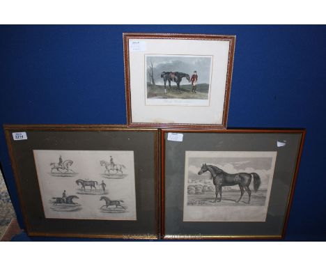 A framed and mounted Lithograph "The Paces of the Horse", a wood engraving of 'Arab - Toorkman Charger from Syria' and a colo