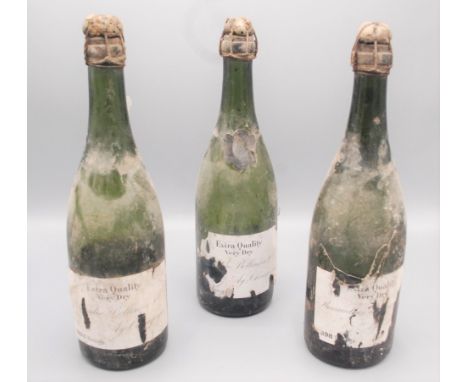 A bottle of Renaudin Bollinger & Co 1893 vintage champagne, height 32cm and two other bottles of Bollinger champagne, all par