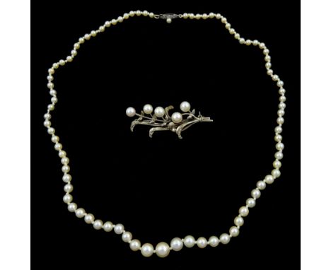 Single strand graduating pearl necklace, with white gold clasp by Mikimoto and a Mikimoto silver pearl broochCondition Report