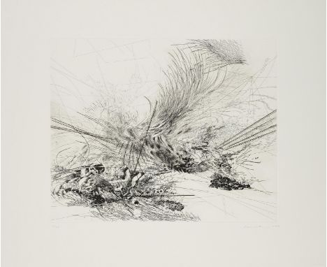 MEHRETU, JULIE1970 Addis Abeba/ÄthiopienTitel: Ohne Titel (für Parkett 76). Datierung: 2006. Technik: Farbradierung. Somerset