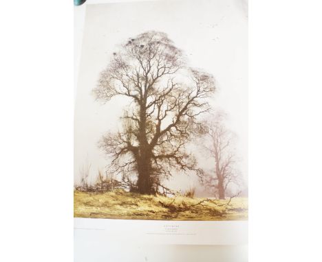 David Shepherd signed print titled Misty Morn signed &amp; dated bottom right David Shepherd 2nd July 1990 print ref ZS2510 -