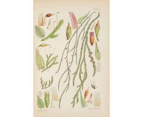  [Mosses] Braithwaite, R. The British Moss-Flora London: L. Reeve & Co., 1887. 3 volumes, 8vo, plates, original green cloth g