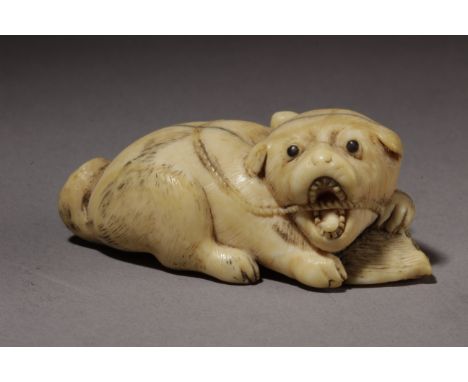 An early 19th century Japanese netsuke from Edo period. Signed Mitsuhide. In carved elephant ivory depicting a laying dog wit