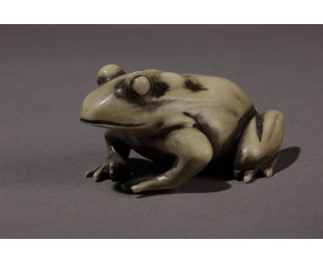 A late 19th century Japanese netsuke from Meiji period. Signed Gyokuichi on the base. In carved ivory portraying a frog about