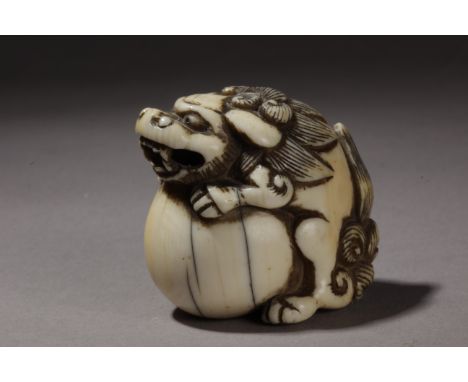 A mid 18th century Japanese netsuke from Edo period. In carved elephant ivory postraying a Shishi laying with his front paws 