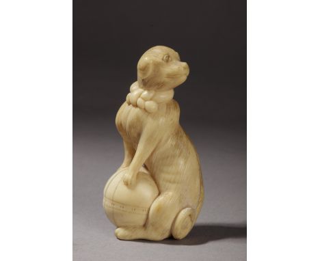 A Japanese netsuke circa 1800. In carved ivory depicting a dog in Tomotada style. The dog sat turning his head to the left, w