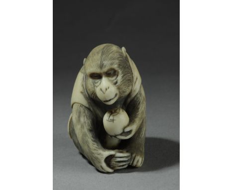 A 19th century Japanese netsuke fom Meiji period. Signed on the back. In carved elephant ivory portraying a monkey seated on 