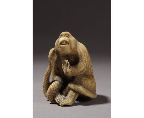 A mid 19th century Japanese netsuke. Signed Masayama on the base. In carved ivory portraying a monkey sat on the floor with a