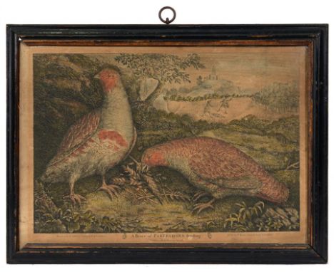 BOWLES &amp; CARVER, PUBLISHERS (1793-1832) DEAD GAME  a set of four, hand coloured engravings, 36 x 26cm and c and two conte