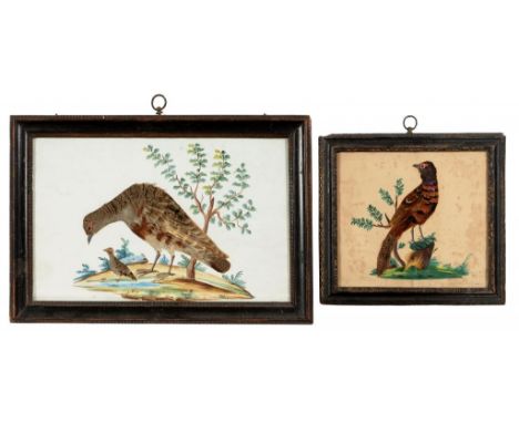 TWO FEATHER PICTURES OF BIRDS, EARLY 19TH C with watercolour background, 18 x 28cm and smaller, ebonised frames++The first in