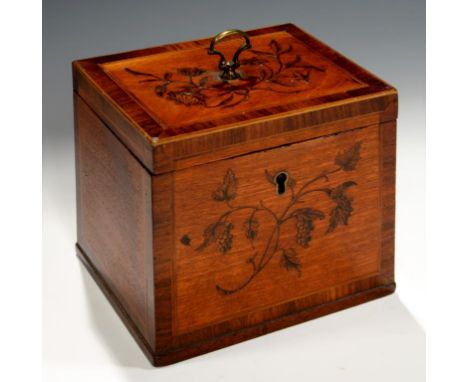 A GEORGE III SATINWOOD, ROSEWOOD, PENWORK AND MARQUETRY TEA CADDY, C1800  the front and lid decorated with fruit or flowers, 