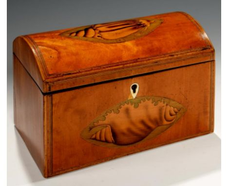 A GEORGE III SATINWOOD TEA CADDY, C1780  the line inlaid front and coffered lid each with a large oval harewood ground shell 