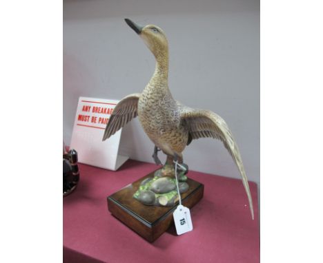 A Royal Worcester American Pintail (Hen), modelled by Ronald Van Ruyckevelt, numbered 213, on rectangular wooden plinth, (win