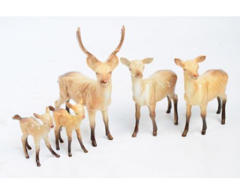 A group of five Beswick deer; stag (af), two does and two fawns. CONDITION REPORT: One of the horns of the stag has been brok