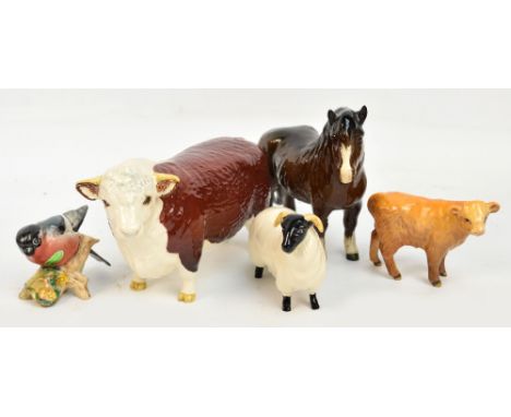 Five Beswick models; a Hereford bull (Champion of Champions), a Charolais calf, a Shetland pony, a black faced sheep and a bu