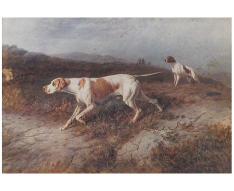 AFTER GEORGE EARL (BRITISH, 1824-1908) Sporting dogs in a landscape Print 17 x 24 cm.