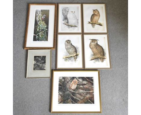Terance James Bond, Woodpecker, signed and numbered 17/60 in pencil, limited edition print, 65 x 26cm, together with Francis 