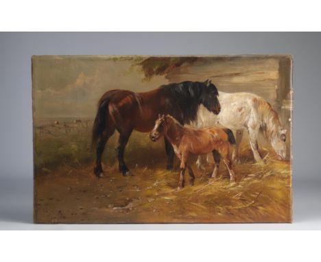 Henry SCHOUTEN (1857/64-1927) "Horses in the meadow" - Weight: 1.35 kg - Shipping available - Region: Belgique - Sizes: h 410