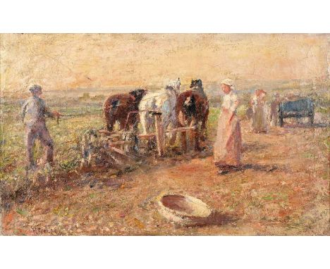 Harry Fidler RBA, ROI (1856-1935)Ploughing the fieldsSigned, oil on canvas, 34.5cm by 54.5cmUnlined. Very coarse, open weave 