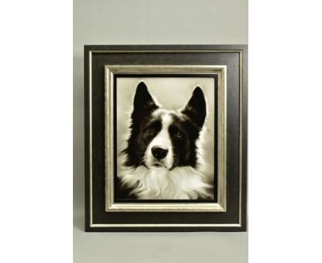 STEVEN SMITH (BRITISH 1974), 'Collie', a portrait of a Collie Dog, signed bottom right, air brush on board, image size approx