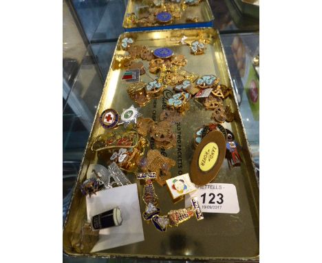 A Collection of Various Enamel Badges to Include Robertsons Golly, Girl Guides, Red Cross, Penfold, Warner Brothers Etc