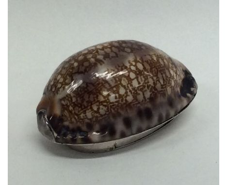 J BUCK OF LIMERICK: A rare Georgian silver snuff box mounted with a shell and flush hinged cover. Approx. 51 grams. Est. £400