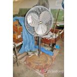 Dayton Pedestal Based Floor Fan